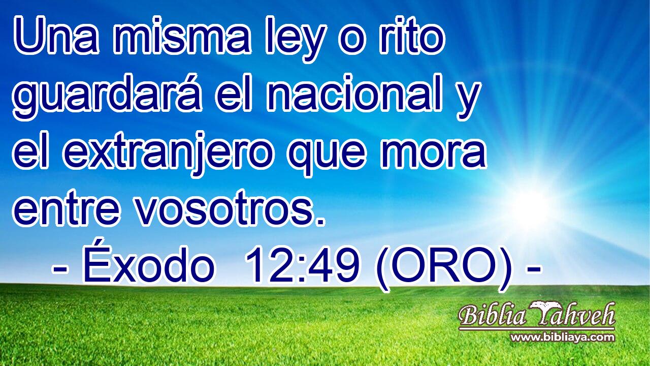  Una misma ley o rito guardará el nacional y el extranjero que mora entre vosotros. 