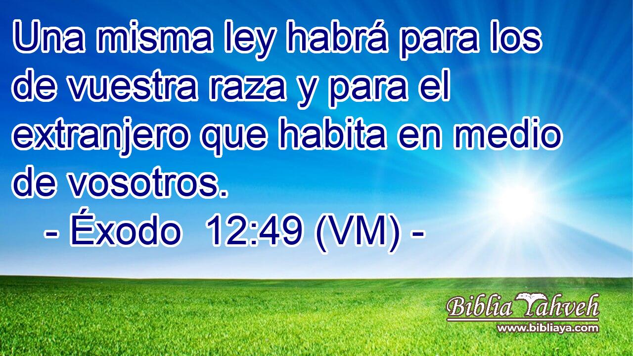  Una misma ley habrá para los de vuestra raza y para el extranjero que habita en medio de vosotros. 