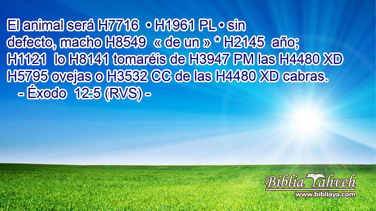 El animal será H7716  • H1961 PL • sin defecto, macho H8549  « de un » * H2145  año; H1121  lo H8141 tomaréis de H3947 PM las H4480 XD H5795 ovejas o H3532 CC de las H4480 XD cabras. 