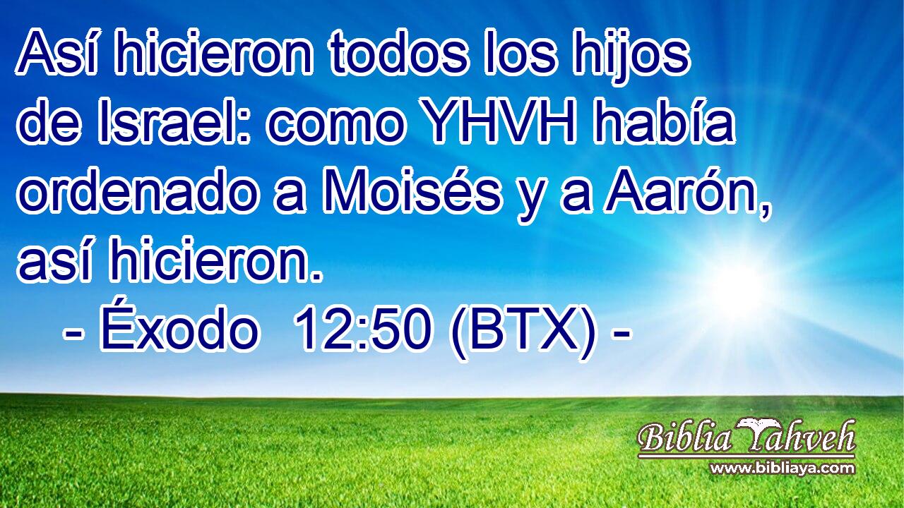 Así hicieron todos los hijos de Israel: como YHVH había ordenado a Moisés y a Aarón, así hicieron.