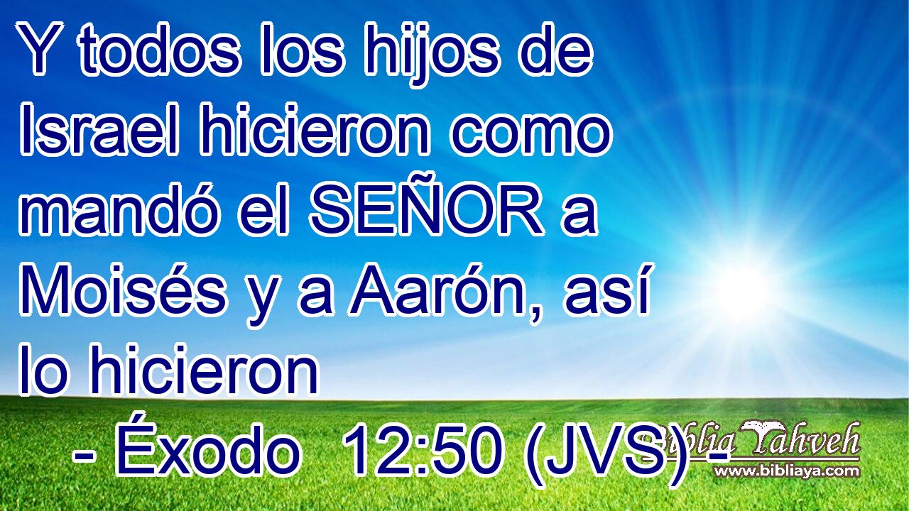 Y todos los hijos de Israel hicieron como mandó el SEÑOR a Moisés y a Aarón, así lo hicieron
