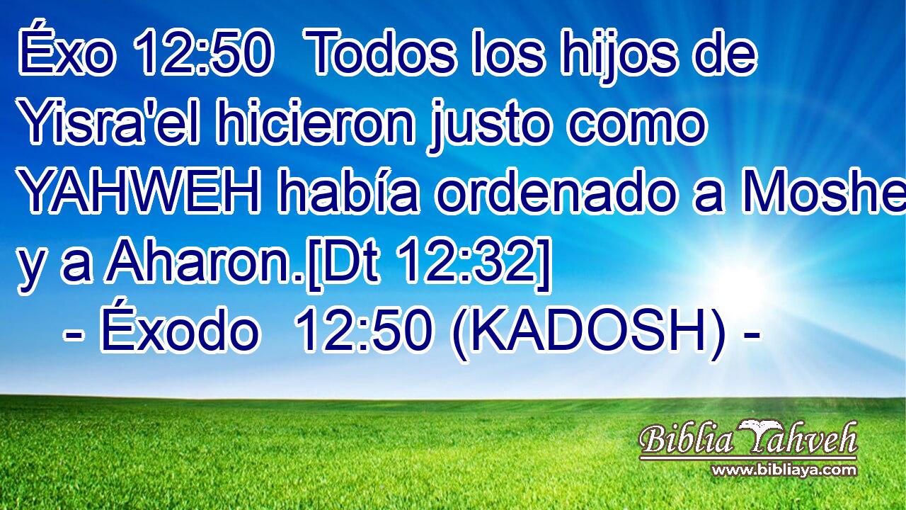  Todos los hijos de Yisra'el hicieron justo como YAHWEH había ordenado a Moshe y a Aharon.[Dt 12:32] 