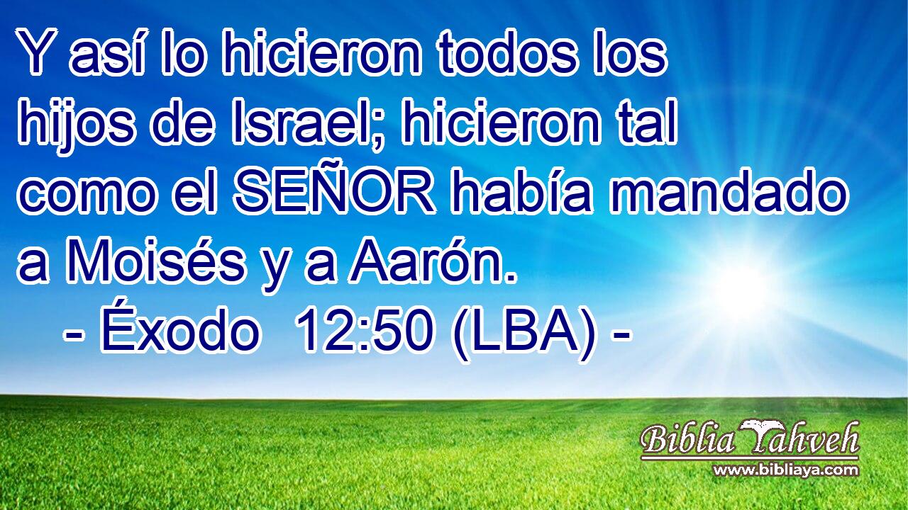Y así lo hicieron todos los hijos de Israel; hicieron tal como el SEÑOR había mandado a Moisés y a Aarón.