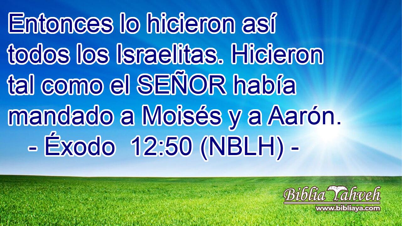  Entonces lo hicieron así todos los Israelitas. Hicieron tal como el SEÑOR había mandado a Moisés y a Aarón. 