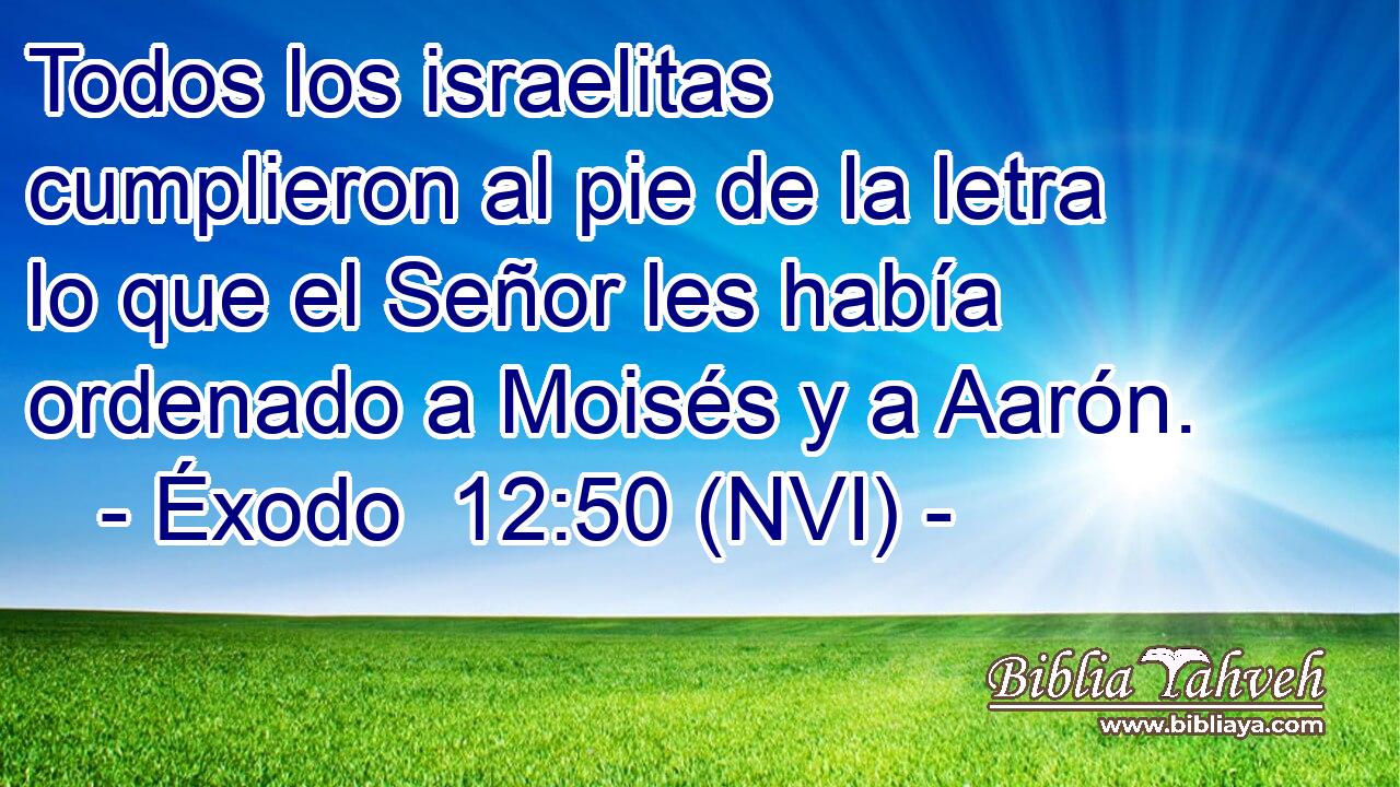  Todos los israelitas cumplieron al pie de la letra lo que el Señor les había ordenado a Moisés y a Aarón. 