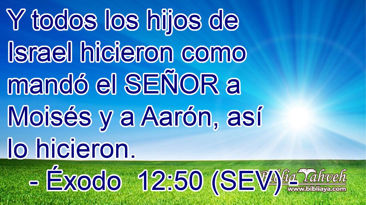 Y todos los hijos de Israel hicieron como mandó el SEÑOR a Moisés y a Aarón, así lo hicieron.