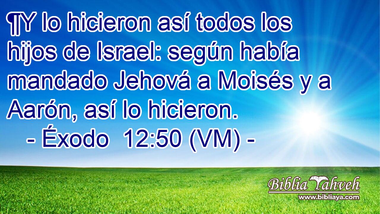  ¶Y lo hicieron así todos los hijos de Israel: según había mandado Jehová a Moisés y a Aarón, así lo hicieron. 