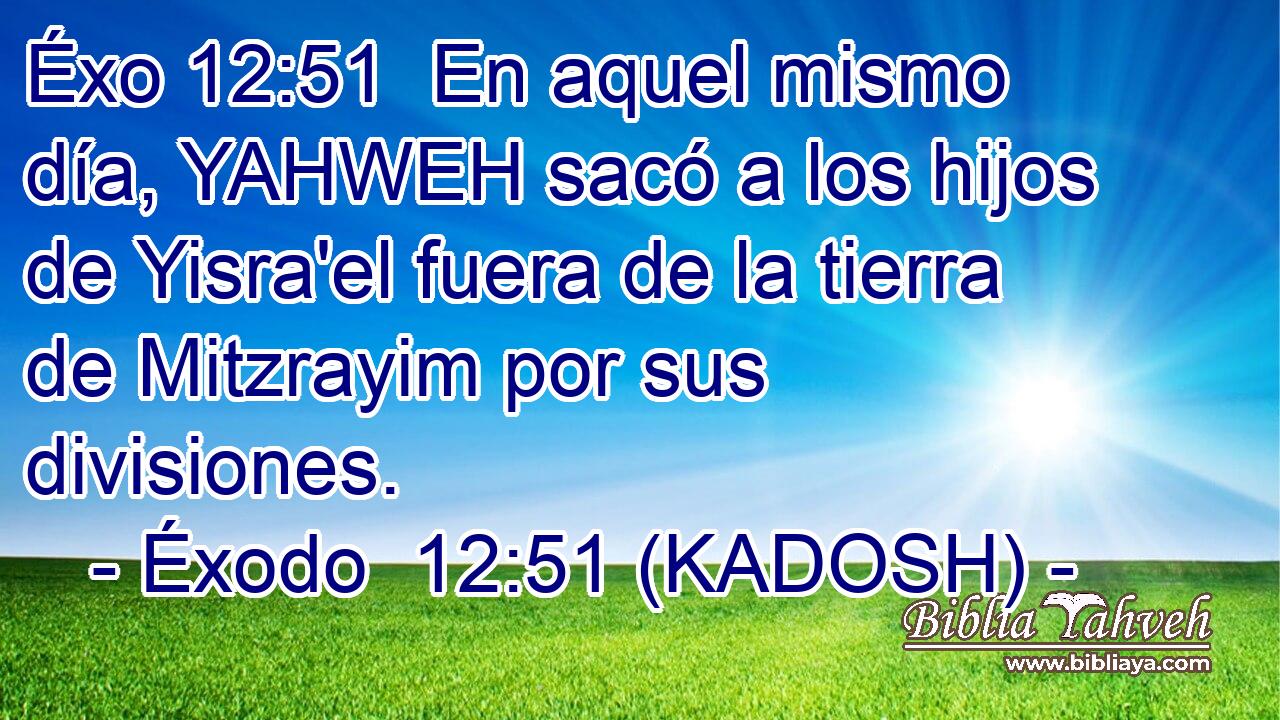  En aquel mismo día, YAHWEH sacó a los hijos de Yisra'el fuera de la tierra de Mitzrayim por sus divisiones. 