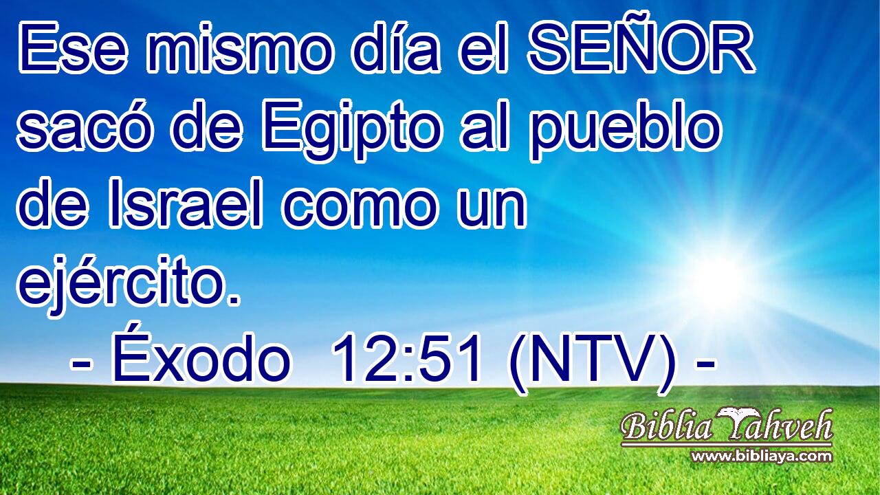 Ese mismo día el SEÑOR sacó de Egipto al pueblo de Israel como un ejército.