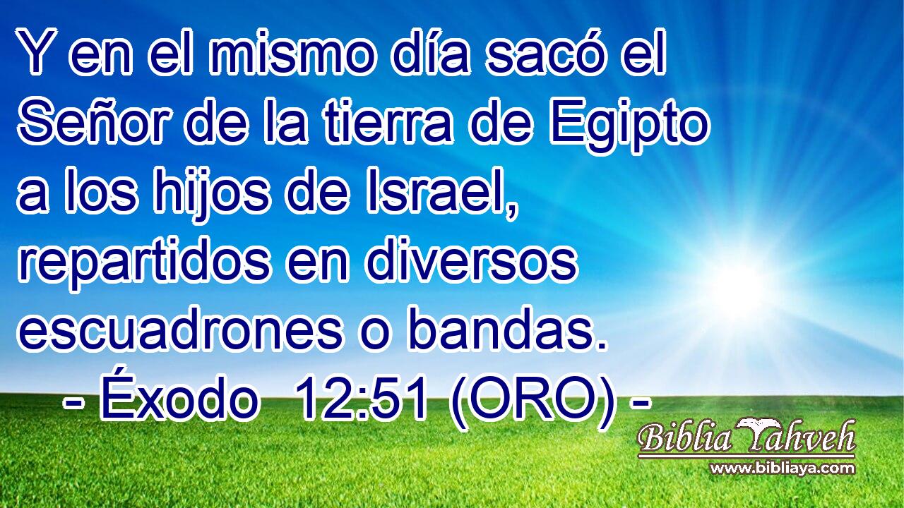  Y en el mismo día sacó el Señor de la tierra de Egipto a los hijos de Israel, repartidos en diversos escuadrones o bandas. 