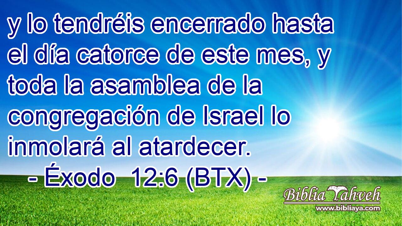 y lo tendréis encerrado hasta el día catorce de este mes, y toda la asamblea de la congregación de Israel lo inmolará al atardecer.