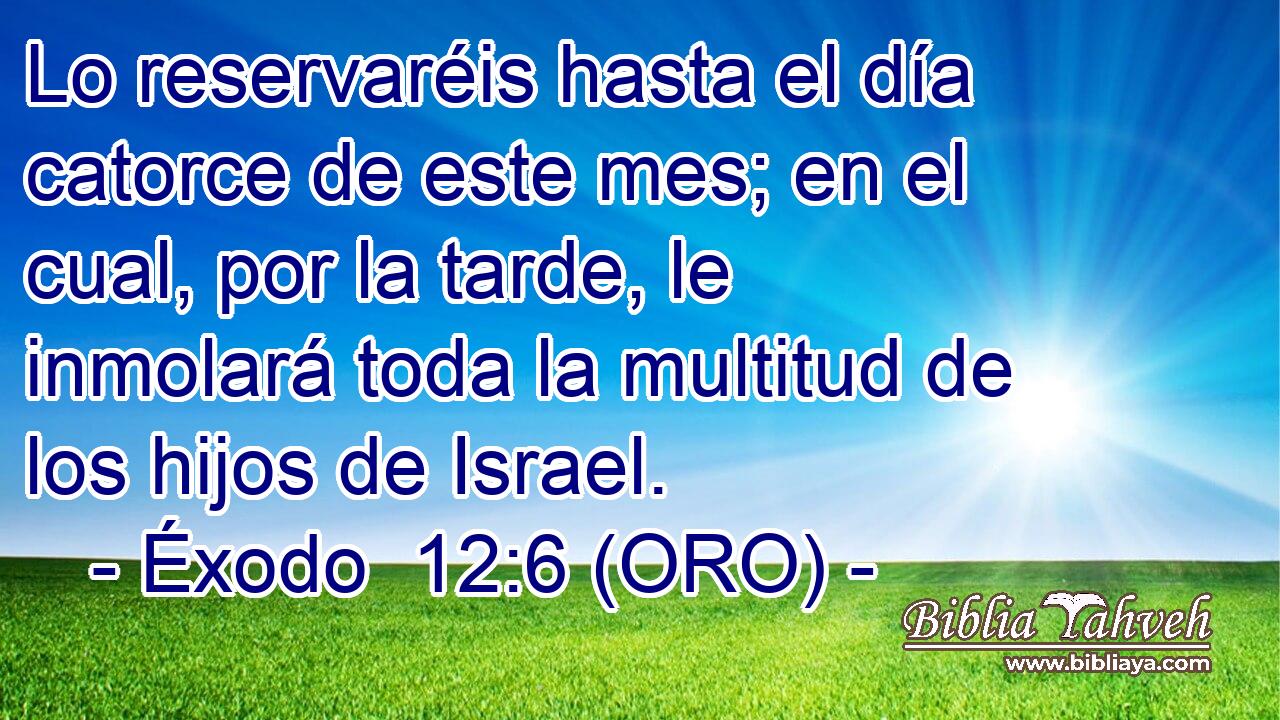  Lo reservaréis hasta el día catorce de este mes; en el cual, por la tarde, le inmolará toda la multitud de los hijos de Israel. 