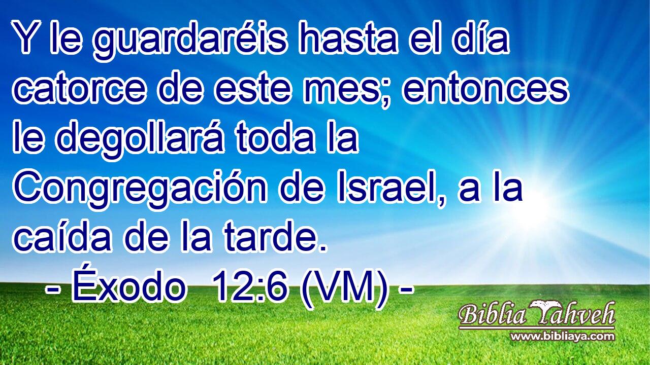  Y le guardaréis hasta el día catorce de este mes; entonces le degollará toda la Congregación de Israel, a la caída de la tarde. 