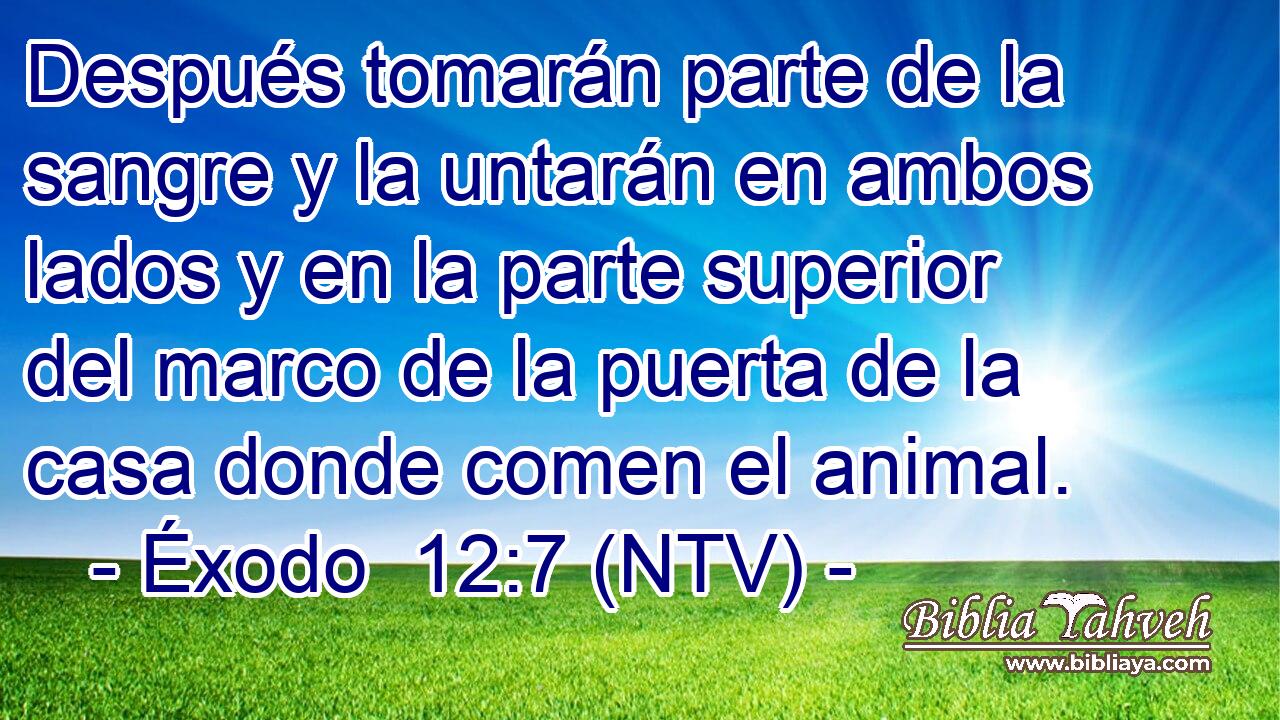 Después tomarán parte de la sangre y la untarán en ambos lados y en la parte superior del marco de la puerta de la casa donde comen el animal.