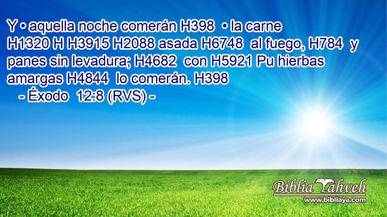 Y • aquella noche comerán H398  • la carne H1320 H H3915 H2088 asada H6748  al fuego, H784  y panes sin levadura; H4682  con H5921 Pu hierbas amargas H4844  lo comerán. H398  