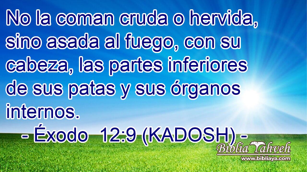  No la coman cruda o hervida, sino asada al fuego, con su cabeza, las partes inferiores de sus patas y sus órganos internos. 