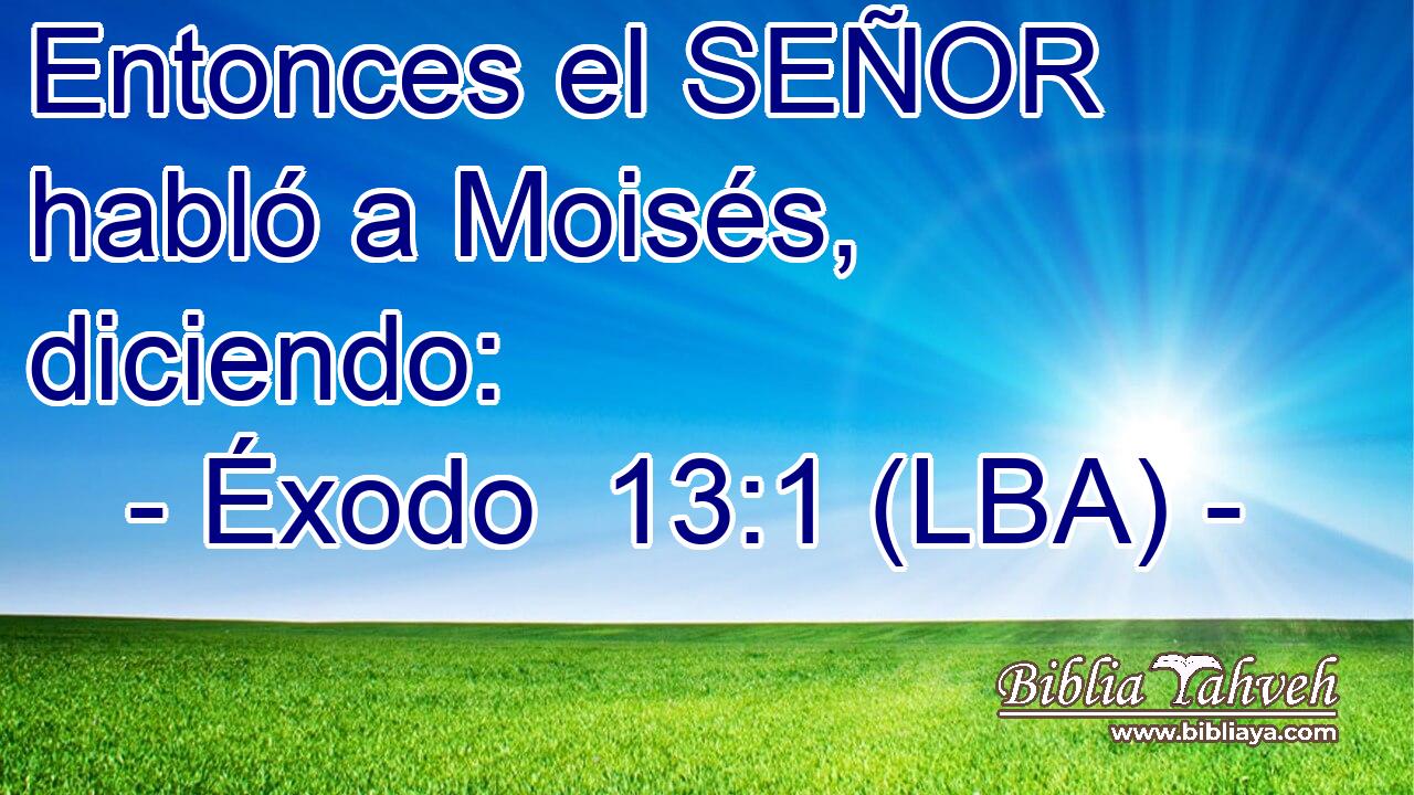 Entonces el SEÑOR habló a Moisés, diciendo: