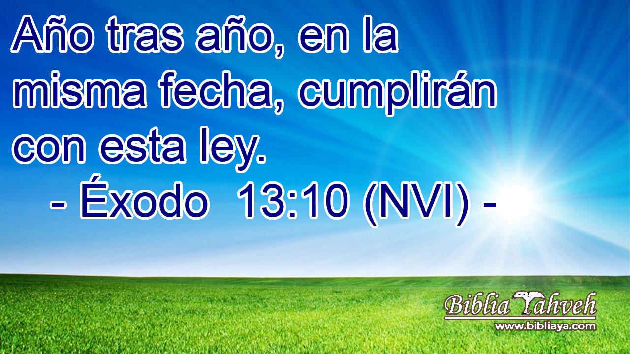  Año tras año, en la misma fecha, cumplirán con esta ley. 