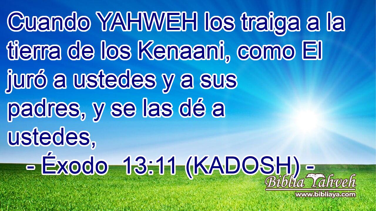  Cuando YAHWEH los traiga a la tierra de los Kenaani, como El juró a ustedes y a sus padres, y se las dé a ustedes, 