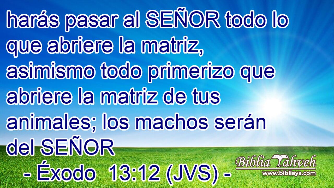 harás pasar al SEÑOR todo lo que abriere la matriz, asimismo todo primerizo que abriere la matriz de tus animales; los machos serán del SEÑOR