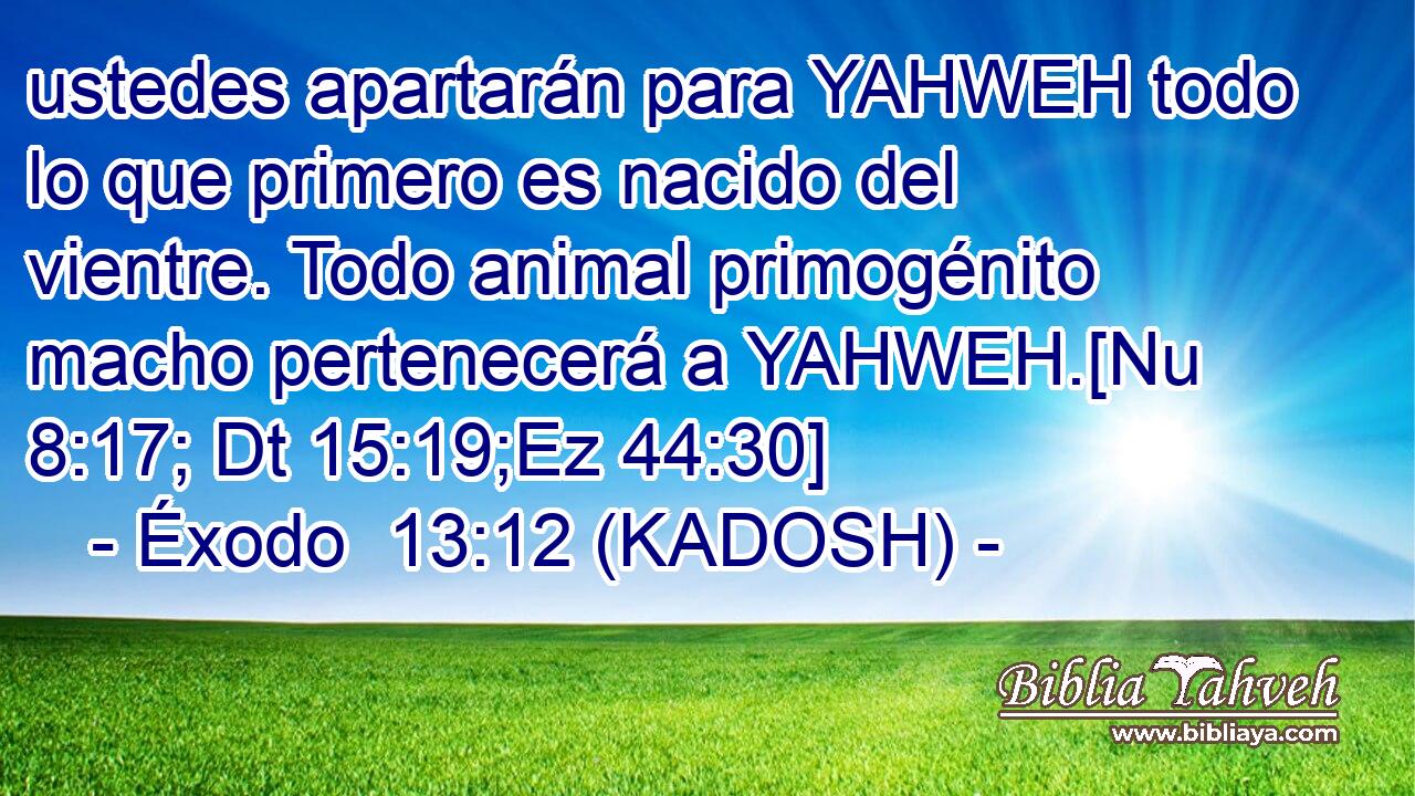  ustedes apartarán para YAHWEH todo lo que primero es nacido del vientre. Todo animal primogénito macho pertenecerá a YAHWEH.[Nu 8:17; Dt 15:19;Ez 44:30] 