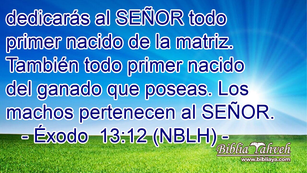  dedicarás al SEÑOR todo primer nacido de la matriz. También todo primer nacido del ganado que poseas. Los machos pertenecen al SEÑOR. 