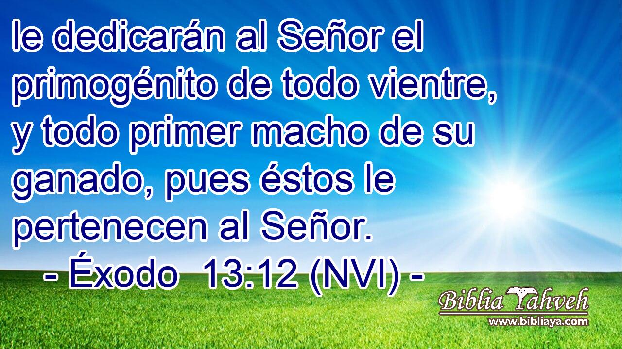  le dedicarán al Señor el primogénito de todo vientre, y todo primer macho de su ganado, pues éstos le pertenecen al Señor. 