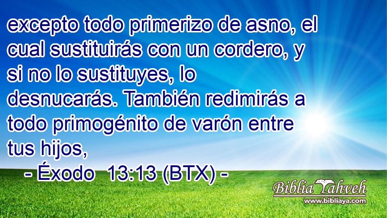 excepto todo primerizo de asno, el cual sustituirás con un cordero, y si no lo sustituyes, lo desnucarás. También redimirás a todo primogénito de varón entre tus hijos,