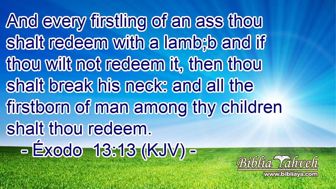 And every firstling of an ass thou shalt redeem with a lamb;b and if thou wilt not redeem it, then thou shalt break his neck: and all the firstborn of man among thy children shalt thou redeem.