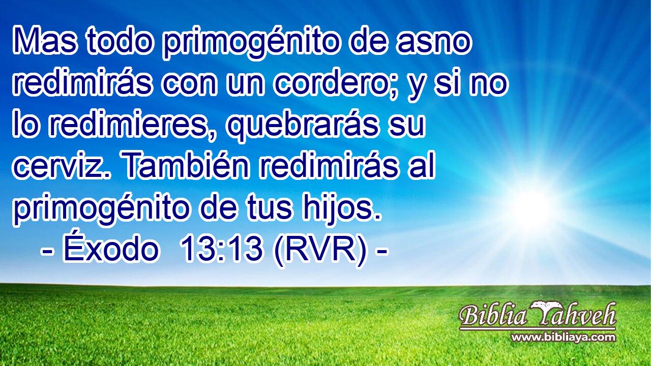 Mas todo primogénito de asno redimirás con un cordero; y si no lo redimieres, quebrarás su cerviz. También redimirás al primogénito de tus hijos.