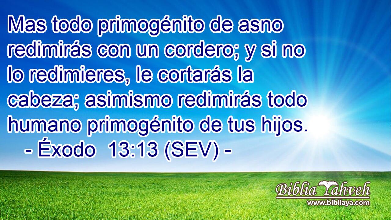 Mas todo primogénito de asno redimirás con un cordero; y si no lo redimieres, le cortarás la cabeza; asimismo redimirás todo humano primogénito de tus hijos.