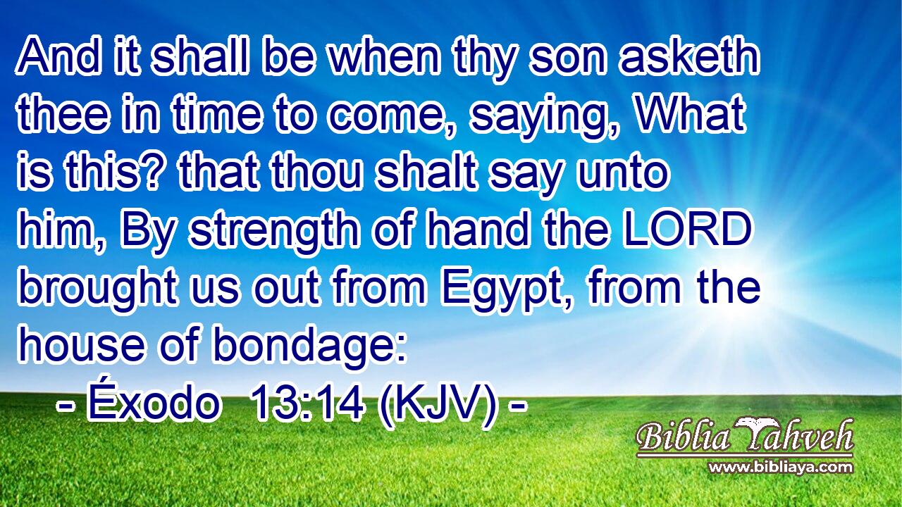 And it shall be when thy son asketh thee in time to come, saying, What is this? that thou shalt say unto him, By strength of hand the LORD brought us out from Egypt, from the house of bondage: