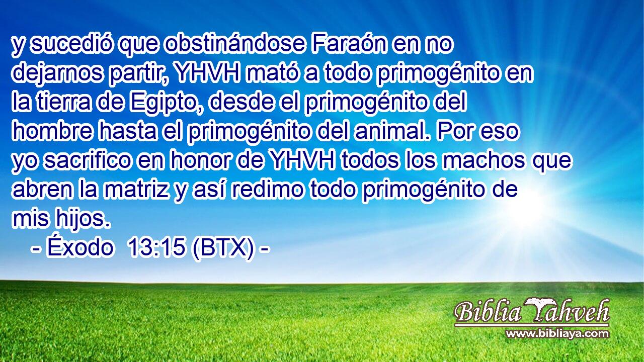 y sucedió que obstinándose Faraón en no dejarnos partir, YHVH mató a todo primogénito en la tierra de Egipto, desde el primogénito del hombre hasta el primogénito del animal. Por eso yo sacrifico en honor de YHVH todos los machos que abren la matriz y así redimo todo primogénito de mis hijos.