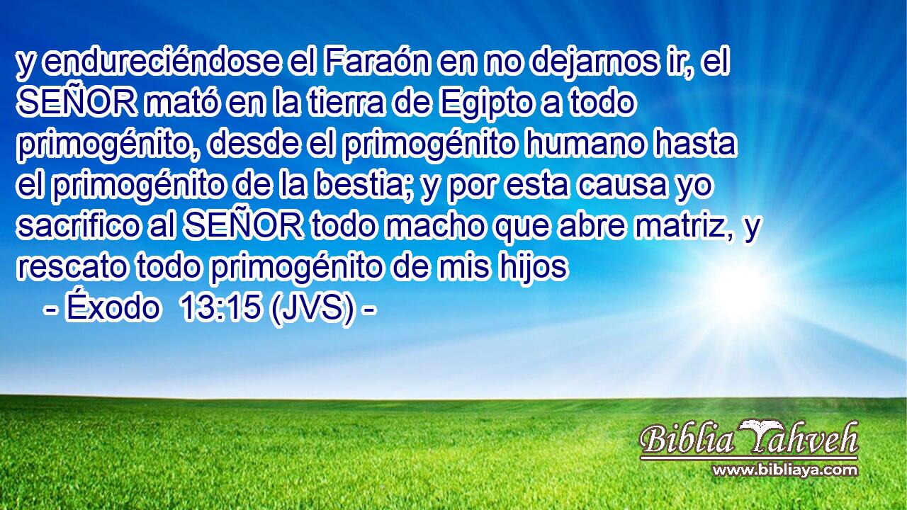 y endureciéndose el Faraón en no dejarnos ir, el SEÑOR mató en la tierra de Egipto a todo primogénito, desde el primogénito humano hasta el primogénito de la bestia; y por esta causa yo sacrifico al SEÑOR todo macho que abre matriz, y rescato todo primogénito de mis hijos