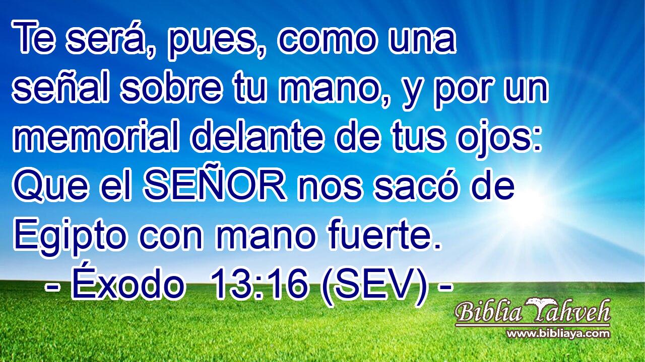 Te será, pues, como una señal sobre tu mano, y por un memorial delante de tus ojos: Que el SEÑOR nos sacó de Egipto con mano fuerte.