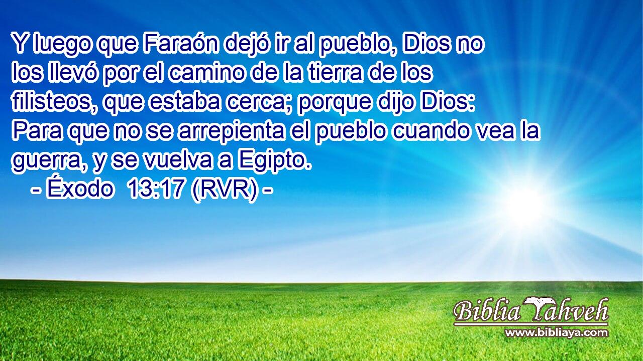 Y luego que Faraón dejó ir al pueblo, Dios no los llevó por el camino de la tierra de los filisteos, que estaba cerca; porque dijo Dios: Para que no se arrepienta el pueblo cuando vea la guerra, y se vuelva a Egipto.