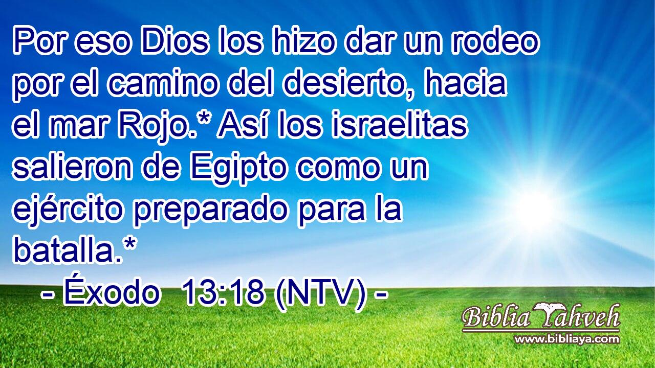 Por eso Dios los hizo dar un rodeo por el camino del desierto, hacia el mar Rojo.* Así los israelitas salieron de Egipto como un ejército preparado para la batalla.*