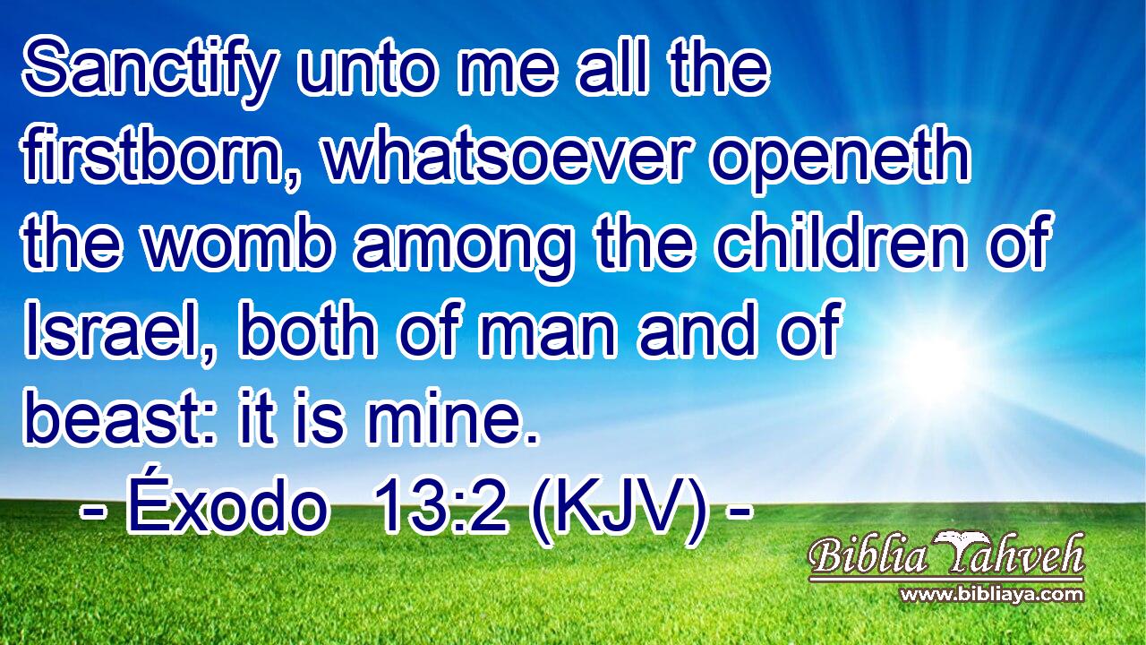 Sanctify unto me all the firstborn, whatsoever openeth the womb among the children of Israel, both of man and of beast: it is mine.
