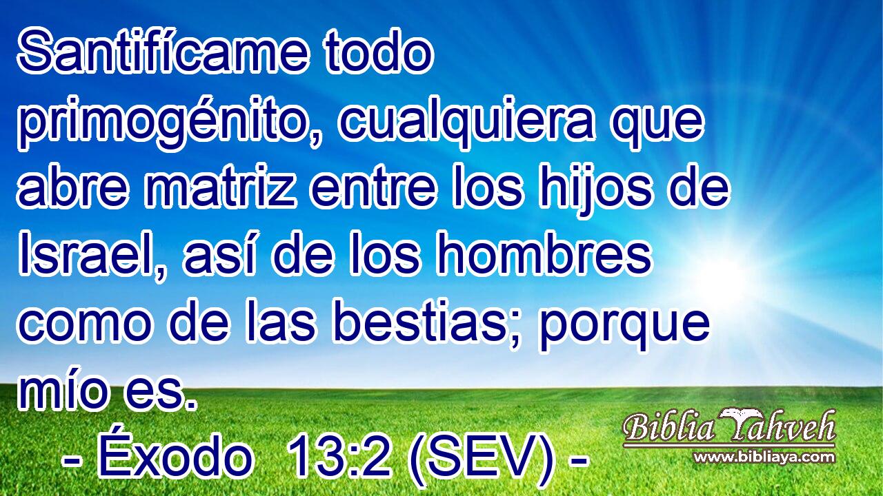 Santifícame todo primogénito, cualquiera que abre matriz entre los hijos de Israel, así de los hombres como de las bestias; porque mío es.