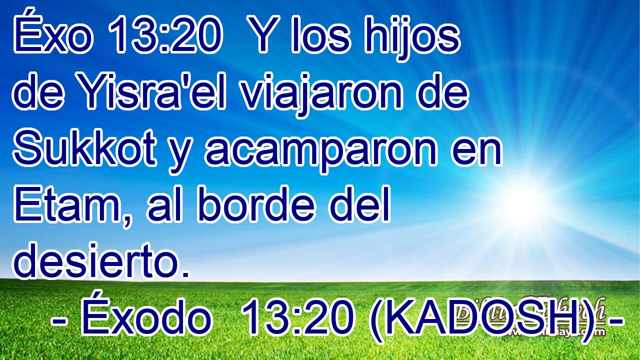  Y los hijos de Yisra'el viajaron de Sukkot y acamparon en Etam, al borde del desierto. 