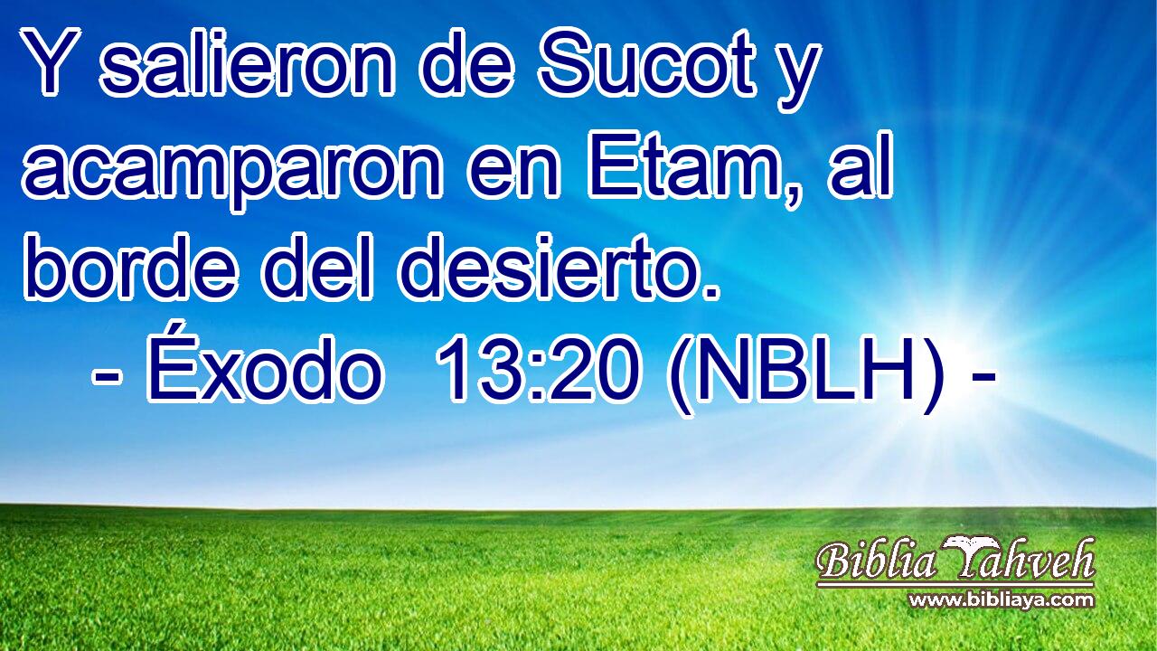  Y salieron de Sucot y acamparon en Etam, al borde del desierto. 