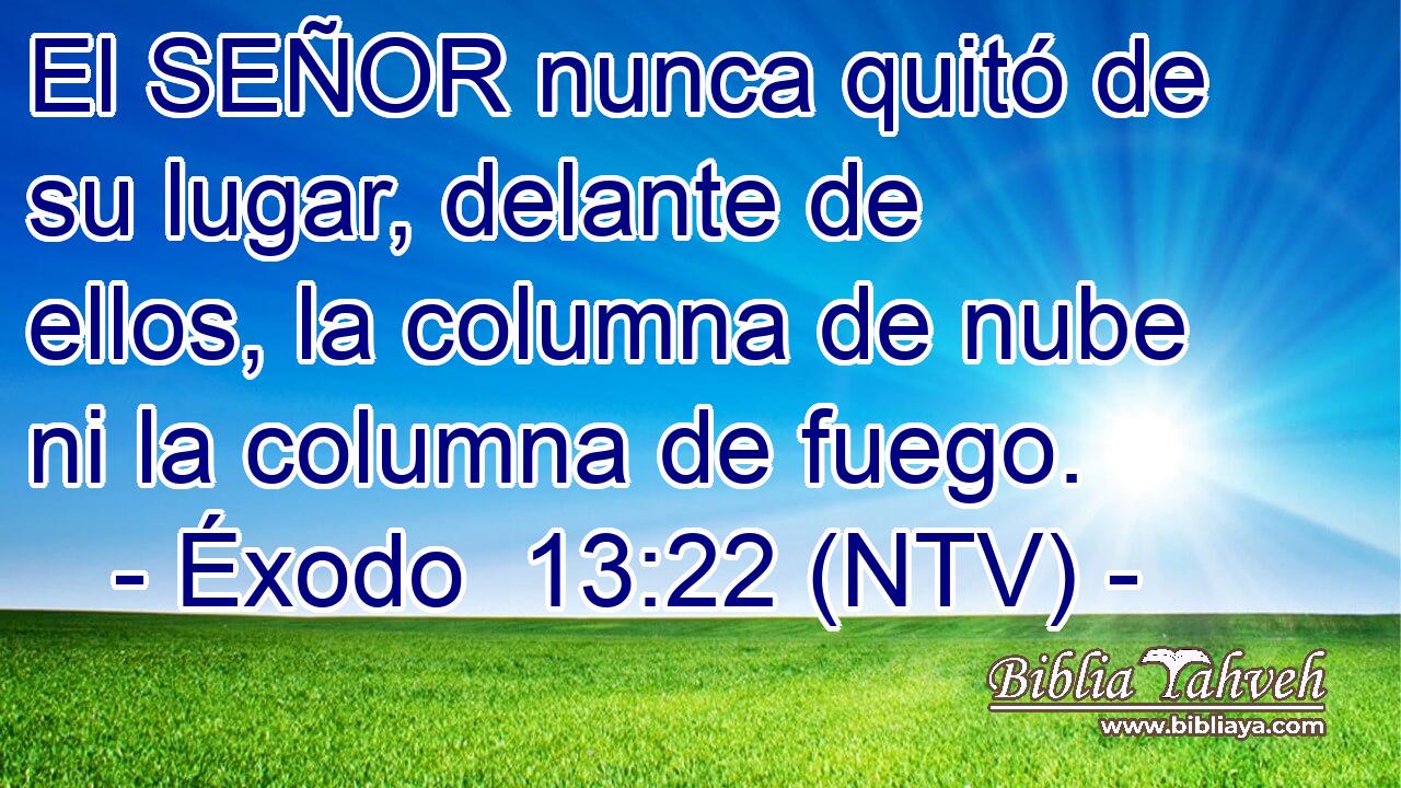 El SEÑOR nunca quitó de su lugar, delante de ellos, la columna de nube ni la columna de fuego.
