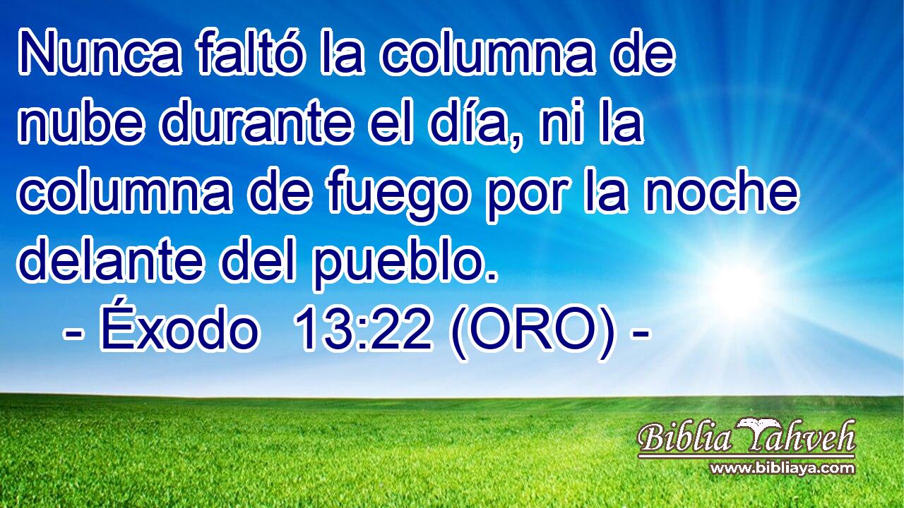  Nunca faltó la columna de nube durante el día, ni la columna de fuego por la noche delante del pueblo. 