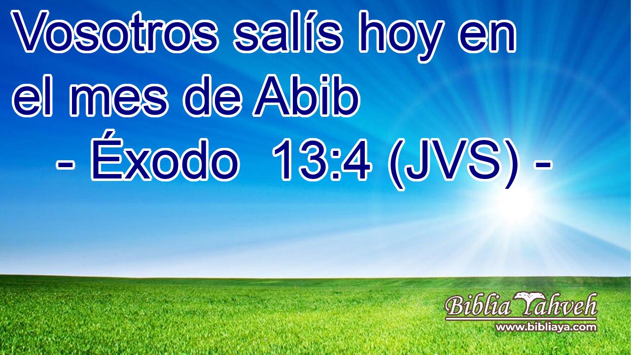 Vosotros salís hoy en el mes de Abib