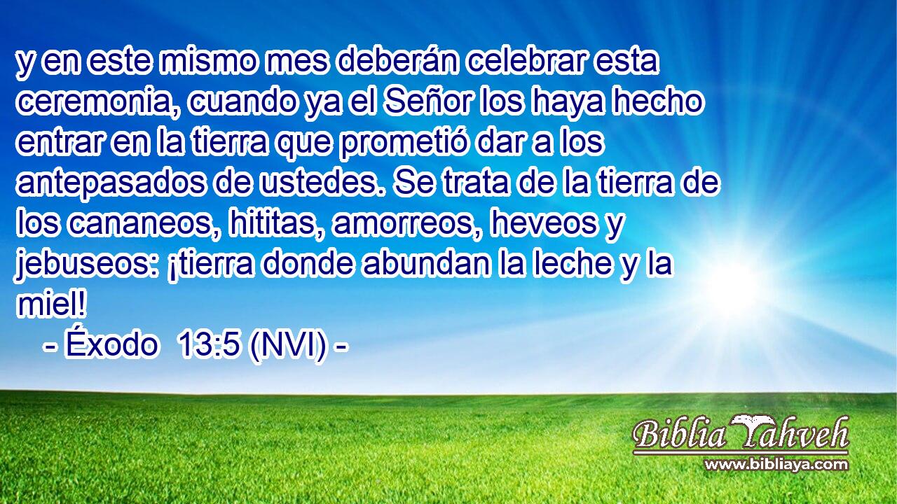 y en este mismo mes deberán celebrar esta ceremonia, cuando ya el Señor los haya hecho entrar en la tierra que prometió dar a los antepasados de ustedes. Se trata de la tierra de los cananeos, hititas, amorreos, heveos y jebuseos: ¡tierra donde abundan la leche y la miel! 