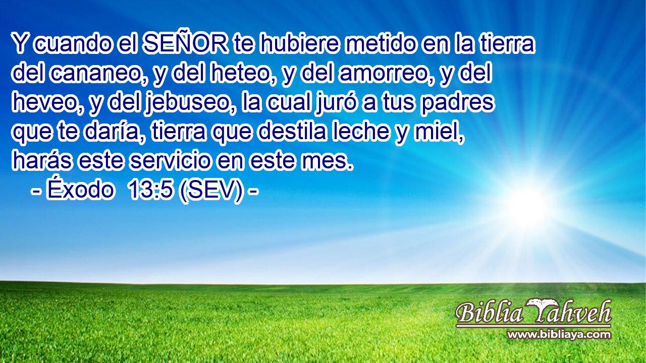 Y cuando el SEÑOR te hubiere metido en la tierra del cananeo, y del heteo, y del amorreo, y del heveo, y del jebuseo, la cual juró a tus padres que te daría, tierra que destila leche y miel, harás este servicio en este mes.