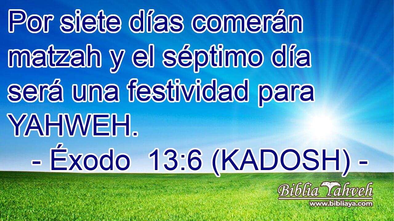  Por siete días comerán matzah y el séptimo día será una festividad para YAHWEH. 