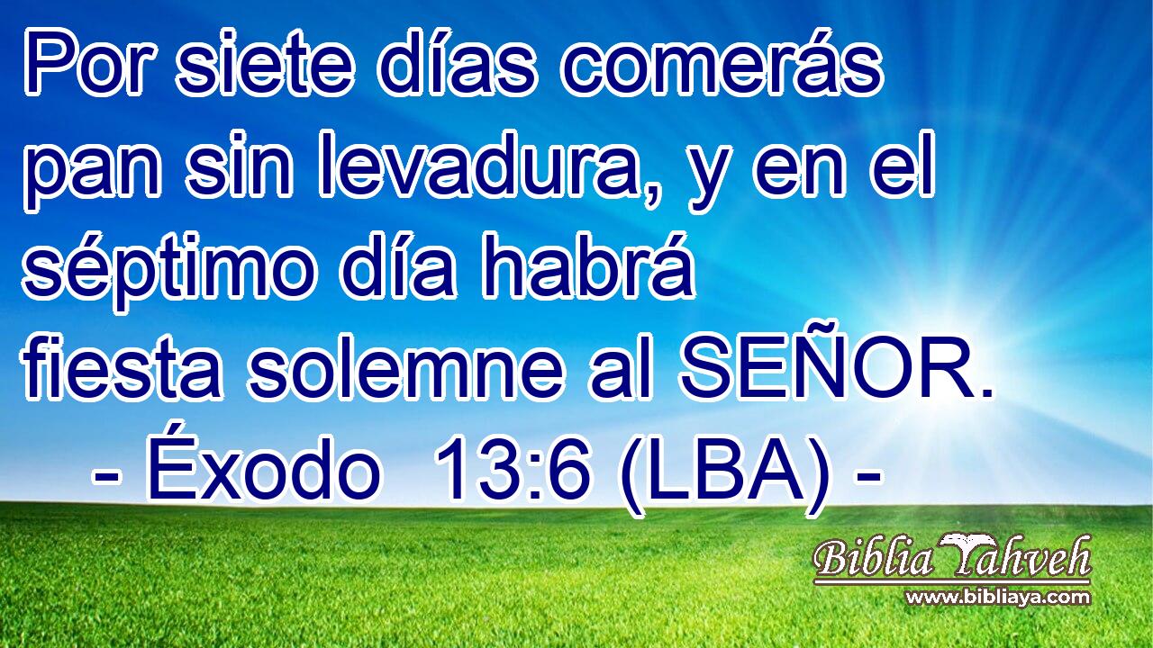Por siete días comerás pan sin levadura, y en el séptimo día habrá fiesta solemne al SEÑOR.