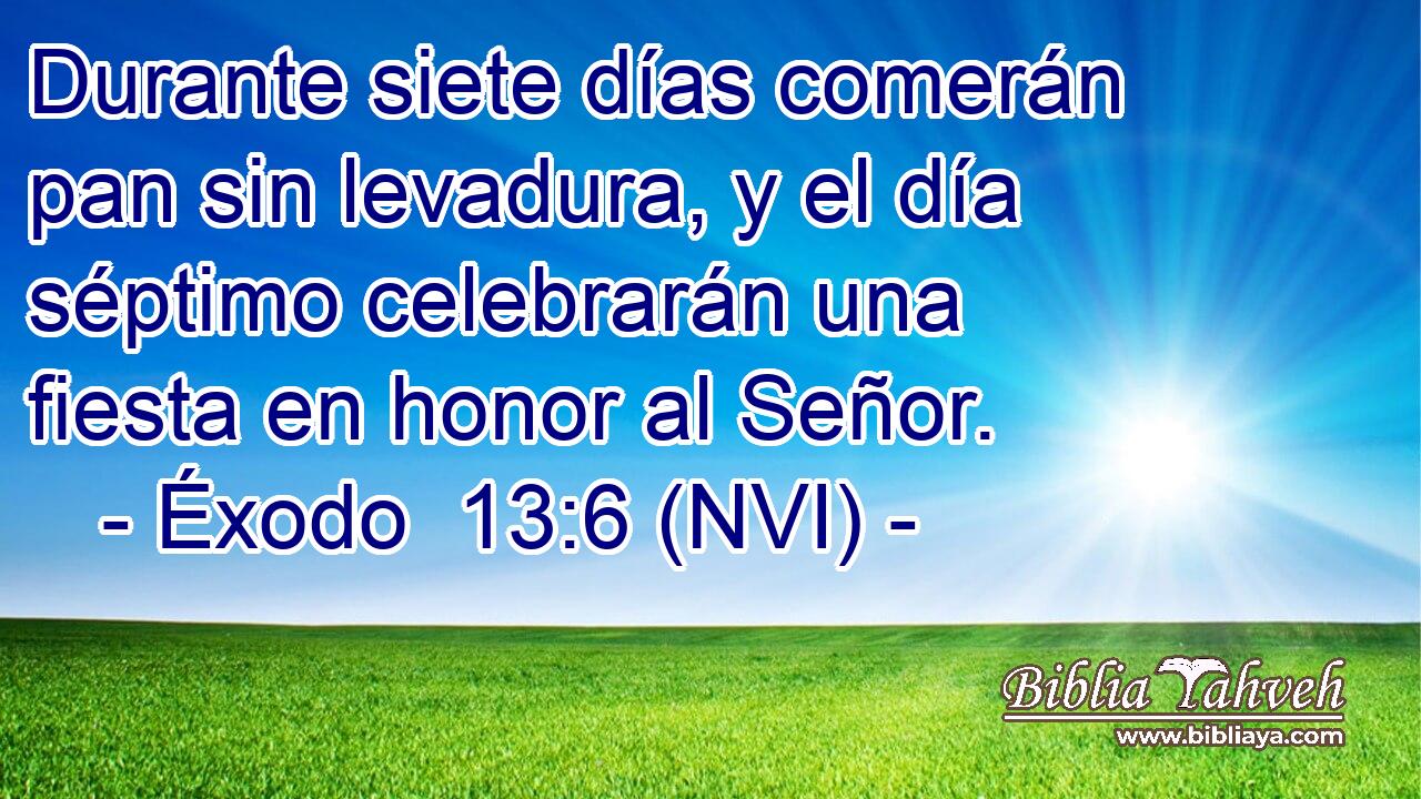  Durante siete días comerán pan sin levadura, y el día séptimo celebrarán una fiesta en honor al Señor. 