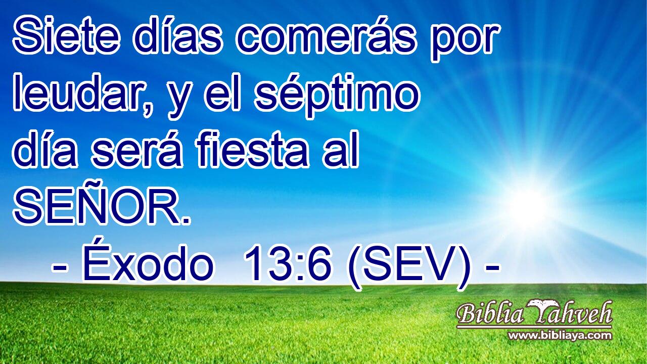 Siete días comerás por leudar, y el séptimo día será fiesta al SEÑOR.